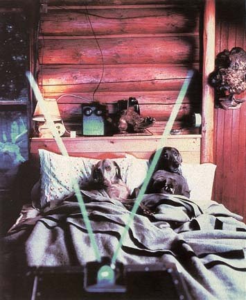 9f9635fde1739bf123cc061e26885c51